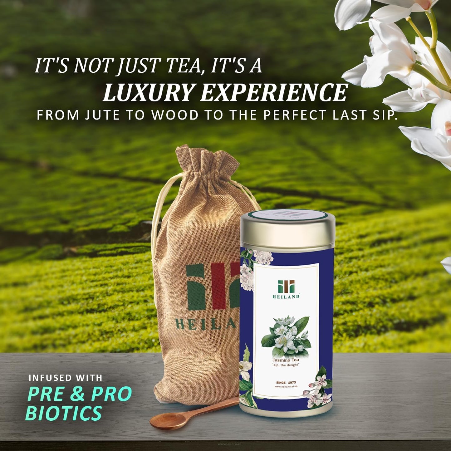 Himalayan Jasmine tea